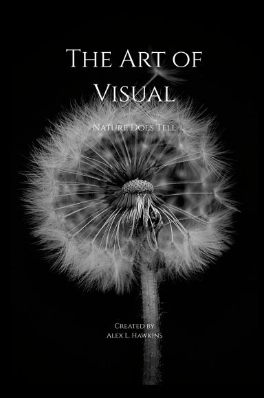 Book Cover Variant Thumbnail